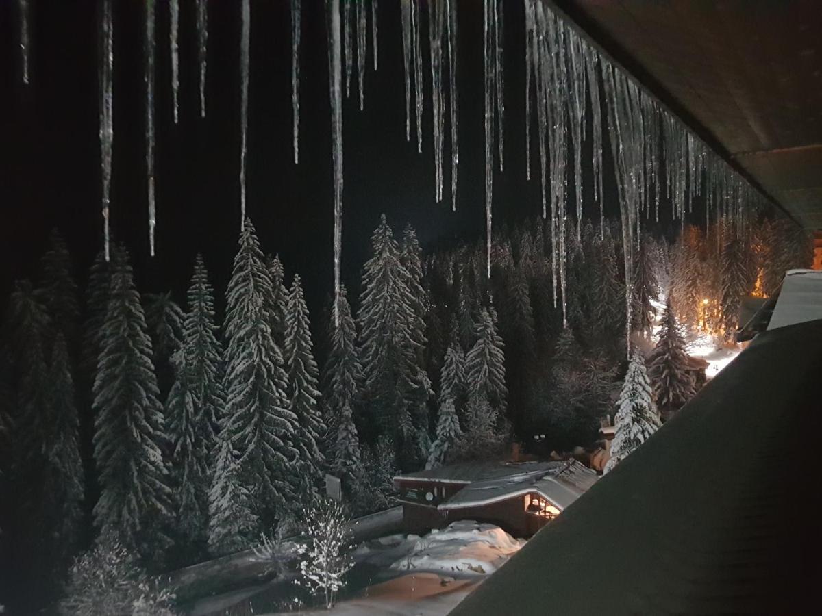 Апартамент Pamporovo Palace エクステリア 写真