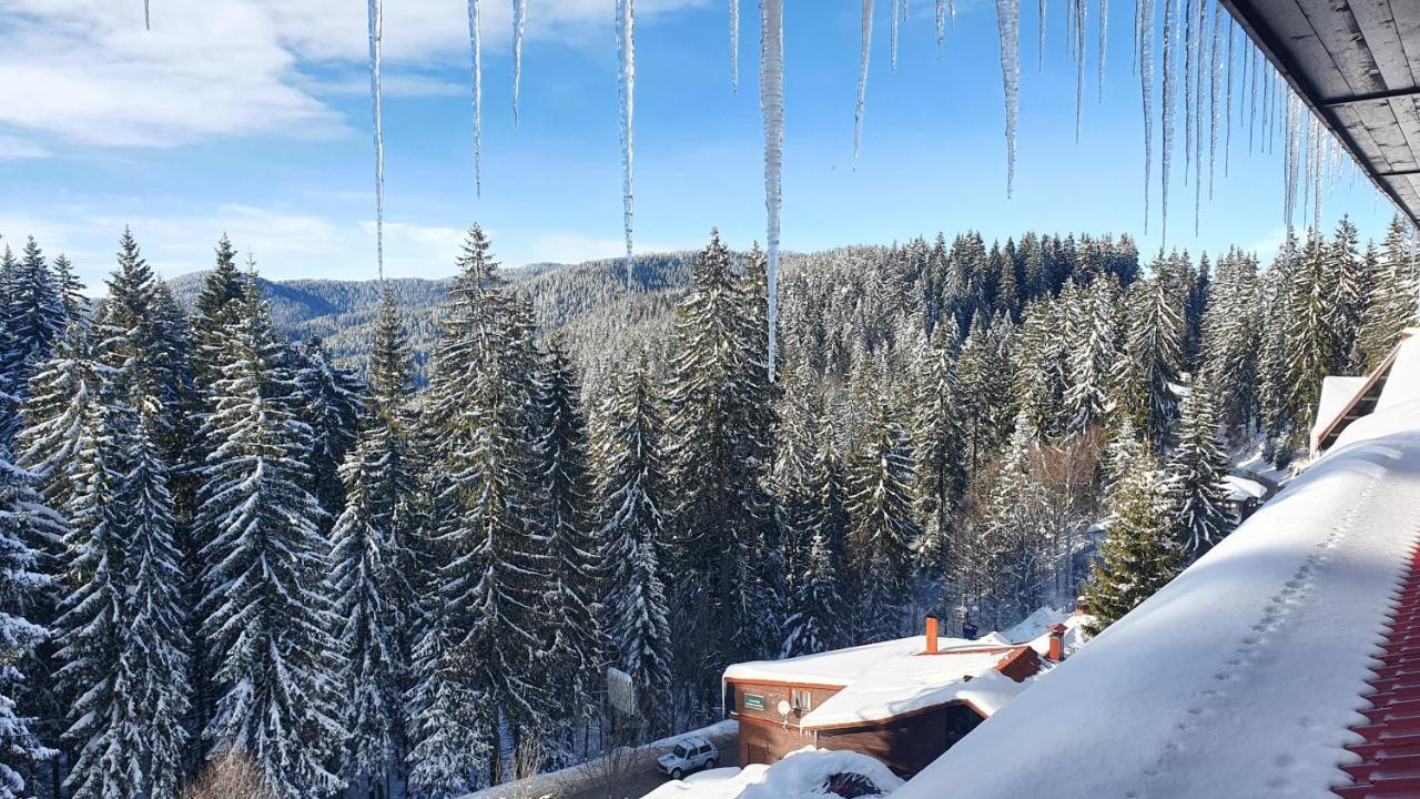 Апартамент Pamporovo Palace エクステリア 写真