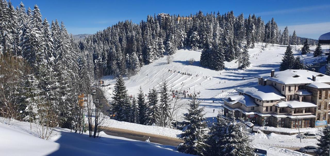 Апартамент Pamporovo Palace エクステリア 写真